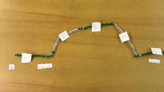 Processing pre mRNA