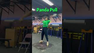 Panda Pull 101