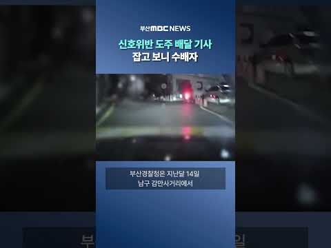 신호위반 도주 <strong>배달</strong> 기사, 잡고 보니 수배자