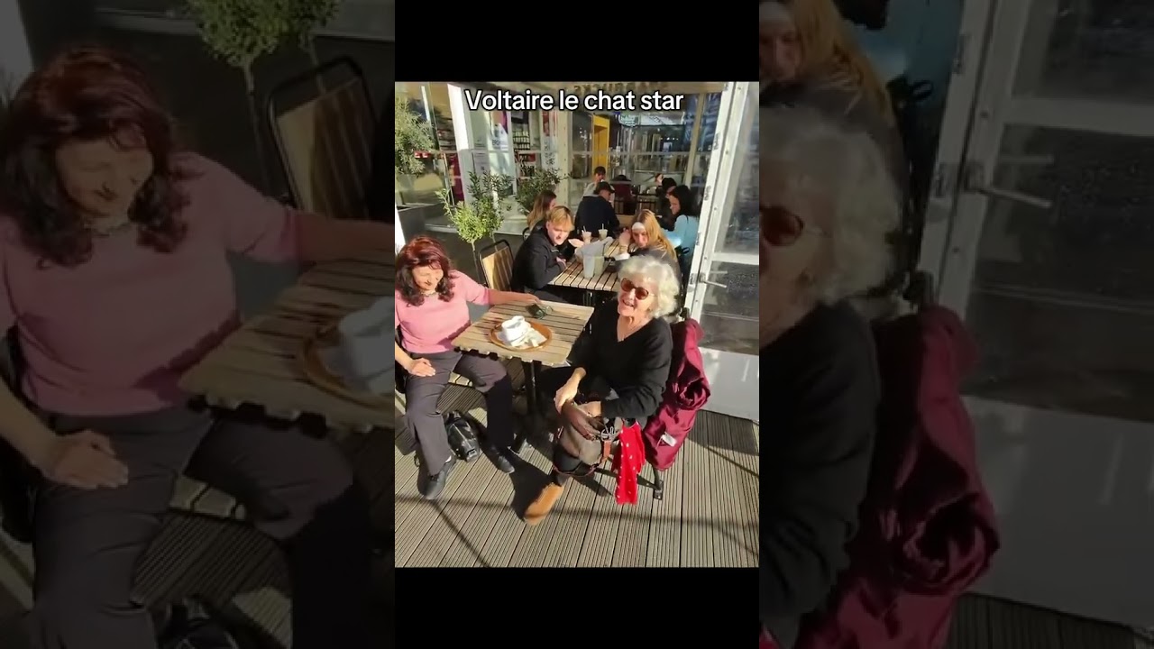 Voltaire dans les rues de Montpellier !