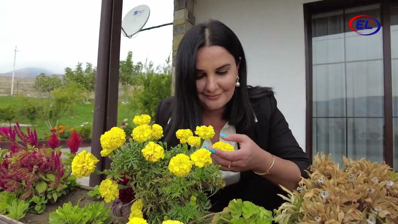 Aydınlığa qovuşduran Suqovuşan (film-reportaj, 2022) #suqovushan #terter #suqovuşan #tərtər