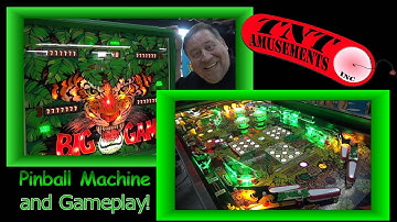 #1139 Stern BIG GAME Pinball Machine & the clever Game Play! TNT Amusements