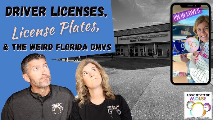 Florida to begin providing mobile driver licenses next year - WINK