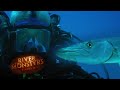 Diving With Vicious Barracuda! | BARRACUDA | River Monsters