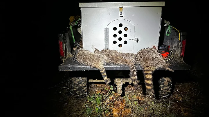 Video 4734181: coon hunting
