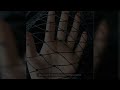 Heavy Black Nylon Netting Anti-Bird Net  Fishing Net Garden Fence Fruit Trees Protective Net Anti Bi