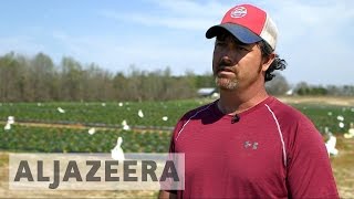 What will US farmers do without immigrants?