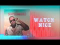 Capture de la vidéo Devin Di Dakta - Watch Nice (Official Audio) | Sophomore - Ep