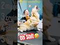 Top Dramatic Dog🐶 Funniest Animals Fails 2026 #pets #funny #cutedog #puppy