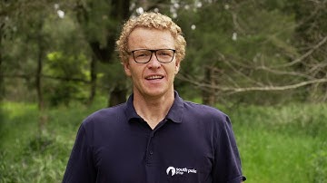 Beef Cattle Method - South Pole