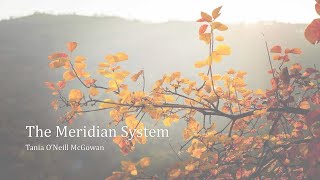 The Meridian System