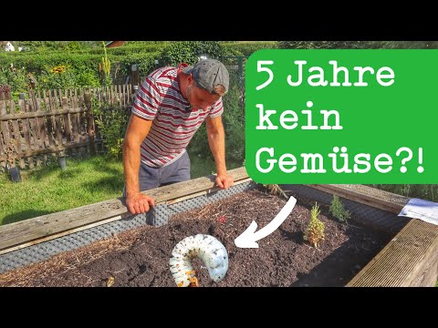 Video: Pflanzen in Behältern aus verzinktem Stahl – Verwendung von Behältern aus verzinktem Stahl für die Gartenarbeit