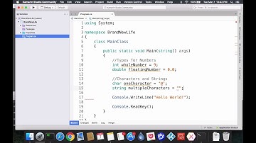 C# Tutorial: basic primitive types