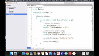 Celebrity C# Tutorial: basic primitive types Net Worth