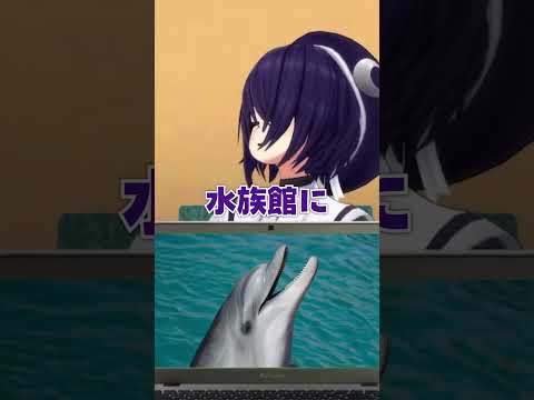 え？サイって水族館いないの…？？？【アキネーター風クイズ】 #あおぎり高校 #vtuber #funny #shorts