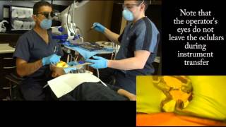 Ergonomics and Four Handed Dentistry with the Dental Operating Microscope