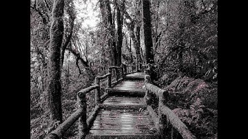 Automatic drawing in MS Paint with PyAutoGUI