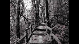 Automatic drawing in MS Paint with PyAutoGUI