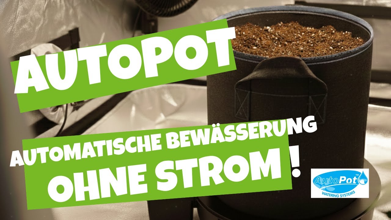 Autopot! Automatische Bewässerung für drei Pflanzen! AUTOPOT XXL | Erklärung und Aufbauanleitung