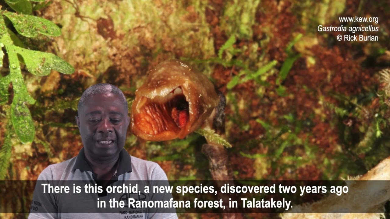 RAFIDISON Jean Chry | Tour Guides | Preserving knowledge of endemic species in Madagascar