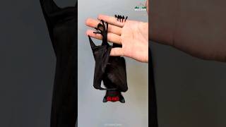 Can Bats Fly Blind?