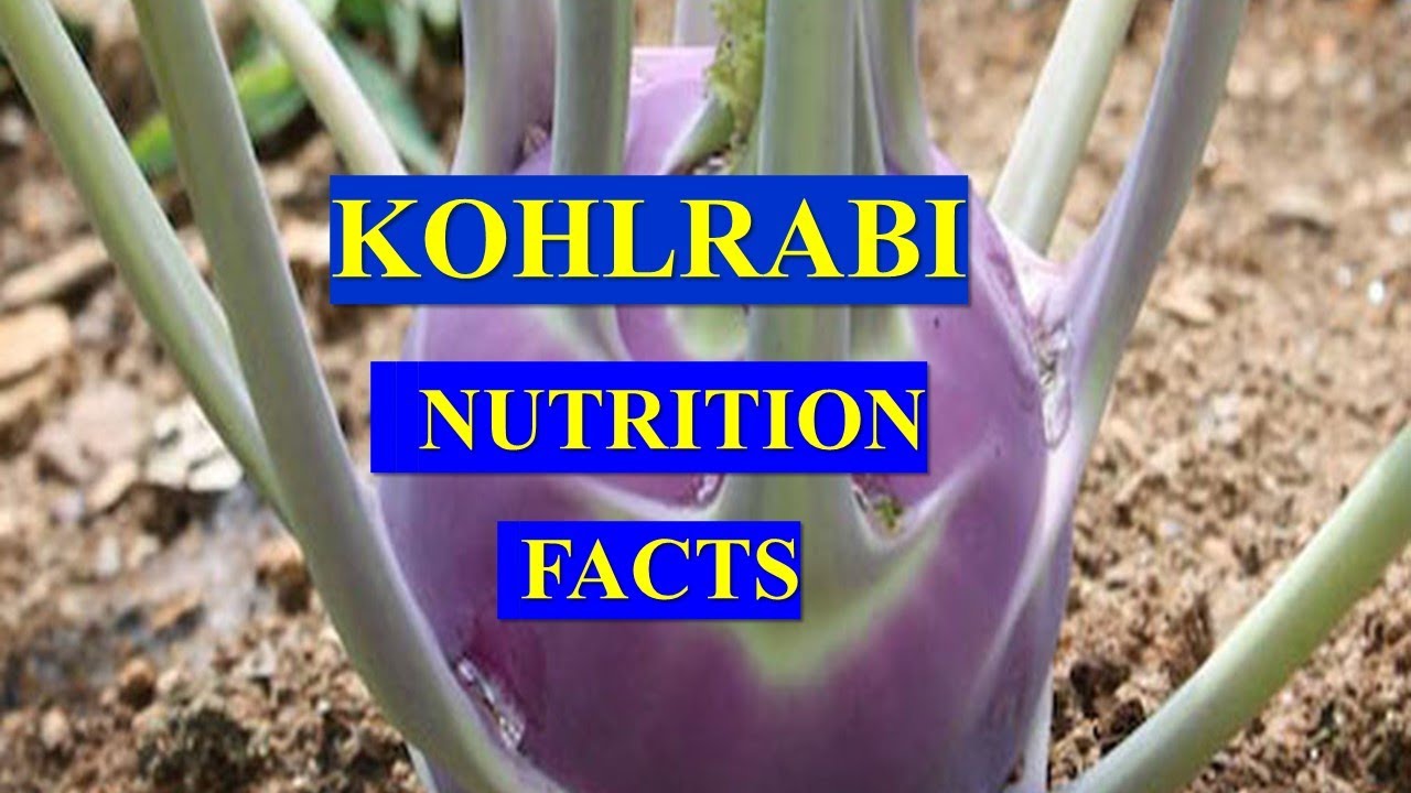 KOHLRABI VEGETABLE HEALTH BENEFITS AND NUTRIENT FACTS YouTube