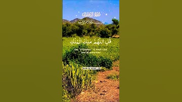 تلاوة خاشعة بصوت يريح القلب قرأن كريم تخشع له القلوب #elmulquranعلم #قران_كريم #اكسبلور #تلاوة