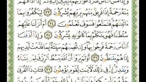 030 - سورة الروم - ناصر القطامي.flv