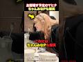 【総ツッコミ】ちゃんみなPも爆笑したお腹壊す予定のマヒナwww