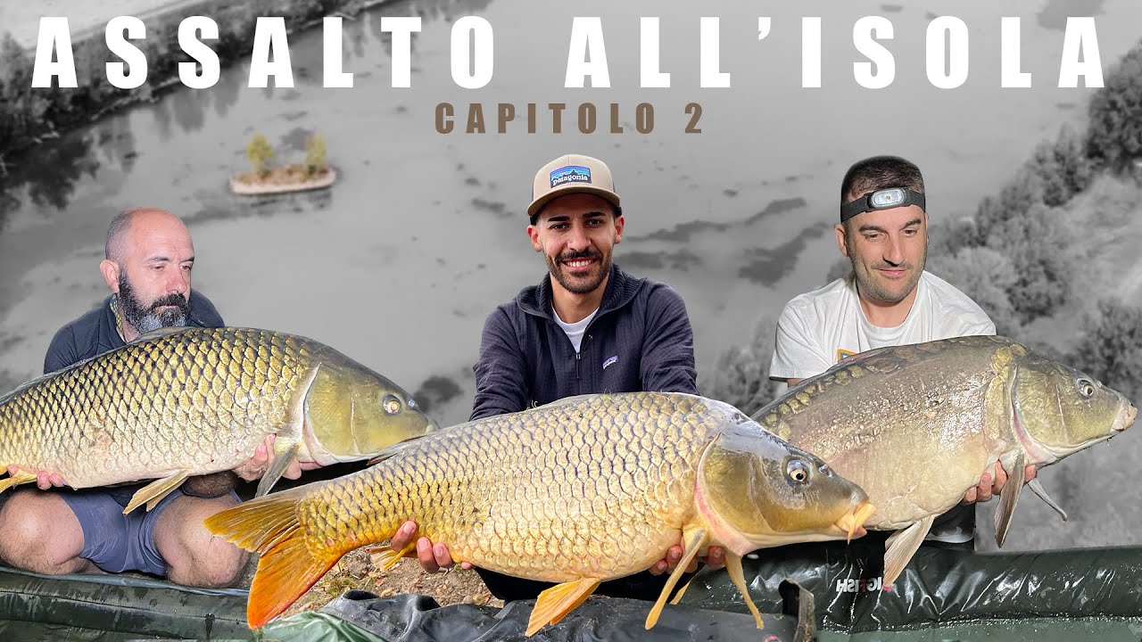 Assalto all'Isola | Capitolo 2