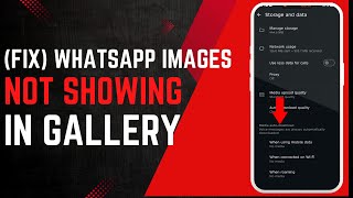 WhatsApp images not showing in gallery of android device - How to Fix it