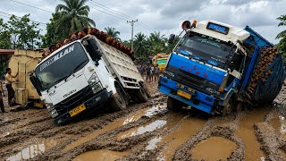 The Moment a Truck Loaded with Palm Oil and Wood Nearly Overturned on a Muddy Road