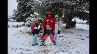 Estampa blanca en Alcañiz