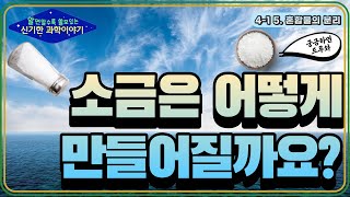 [초등과학] 소금은 어떻게 만들어질까? | 혼합물의 분리, 과학실험 | 알쓸신과