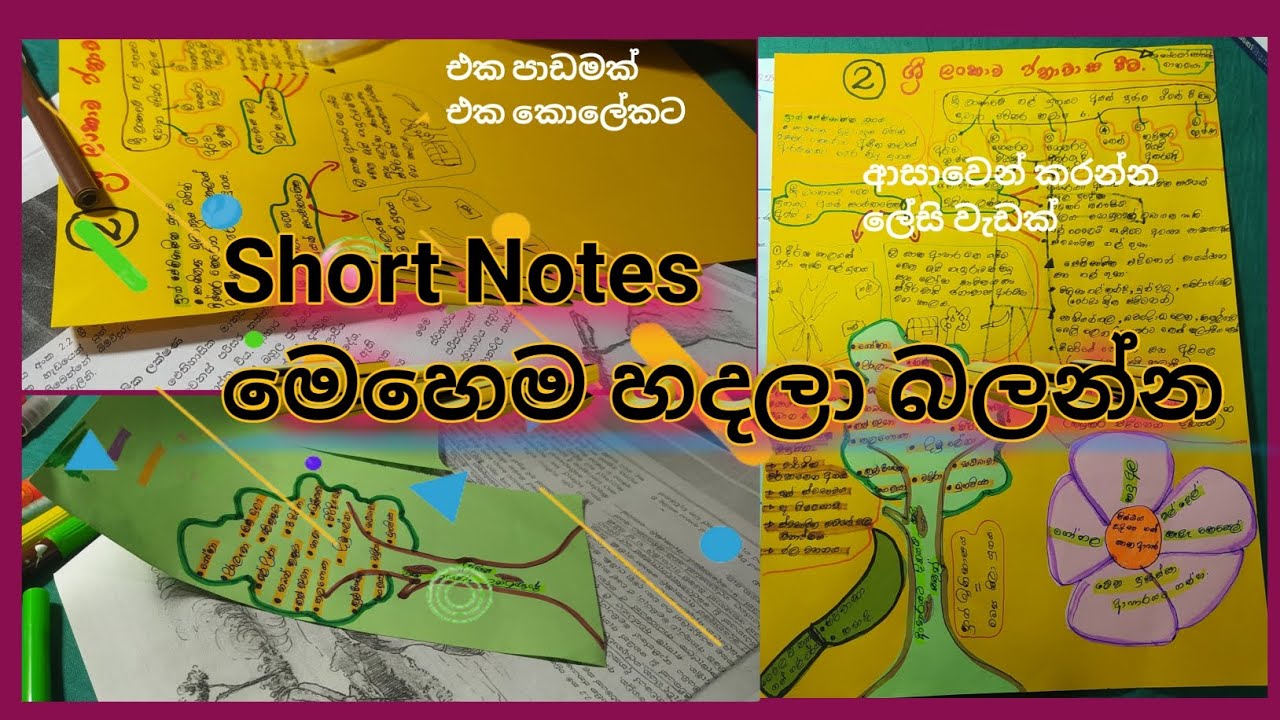ලේසියෙන් ආසාවෙන් Short Notes හදමු ✍️ ✨️💫