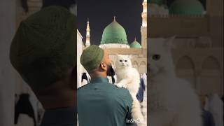 मेरे गंदे क़दम और उनका हरम… 🤲🕌 #islamicshorts #ytshorts #viralshorts #trending #shorts #madinah