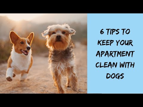 6 Tips to