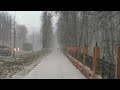 Снежная буря в Молодечно 14 января