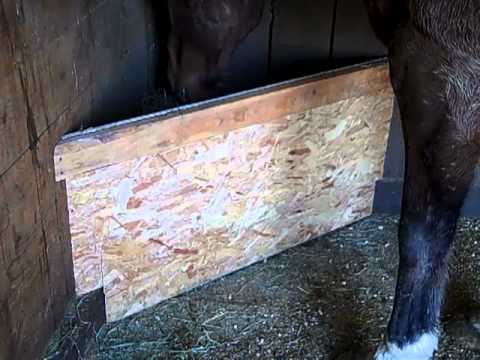 Save Hay Corner Feeder Youtube