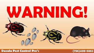 Pest Control Snellville | Pest Control Exterminator Services in Snellville