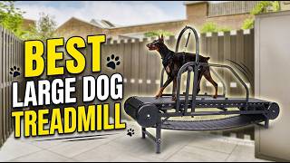 Best Dog Treadmill For Large Dogs 2026 Top 6 Heavy-Duty Models Tested