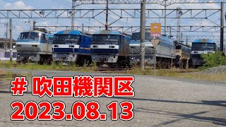 休息中の電気機関車たち 吹田機関区  2023.08.13 EF66 EF510 EF65 EF210…勢ぞろい #貨物列車の動画チャンネル