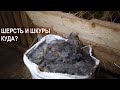 Кому нужна шерсть и шкуры Романовские овцы? Племенной репродуктор романовской породы овец Атис СХ.