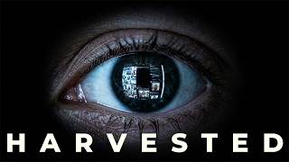Your Attention Is Being Harvested