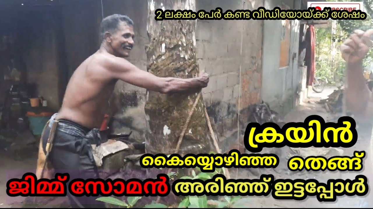 ജിമ്മ്സോമൻ  തെങ്ങ് മുറിക്കുന്ന മാരക ട്രിക്ക് /coconut tree cutting trick