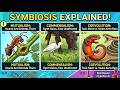 Symbiosis Explained: The Hidden Dynamics of Ecological Relationships
