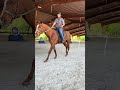Learning a new draw was fun and challenging!! It was a great clinic #mountedarchery #archery #horse