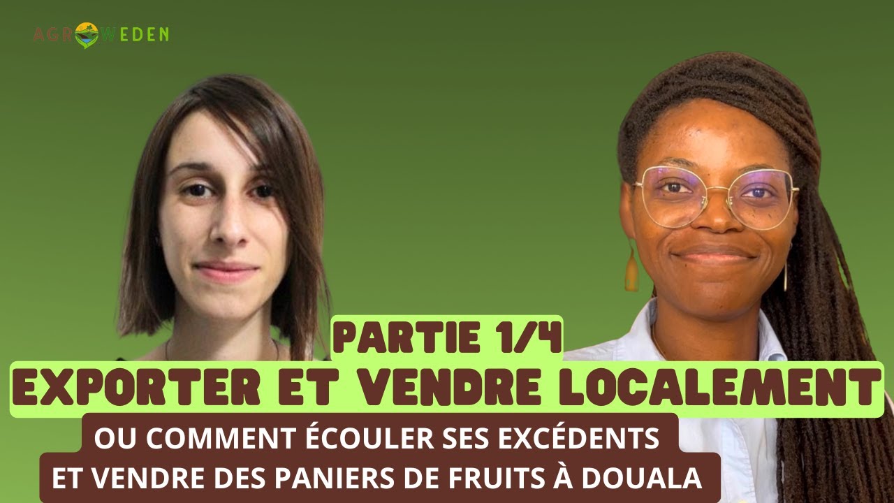 Comment VENDRE ses EXCÉDENTS en PANIERS de FRUITS ? Partie 1/4