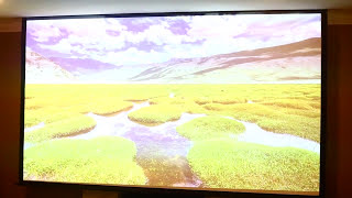 Elite Screens Spectrum AT (Acoustically Transparent) Projection Screen Review