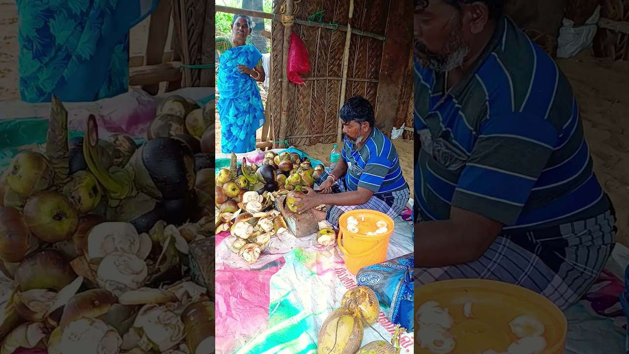 ice apple first time experience || best healthy food ever